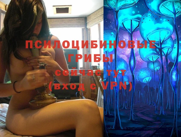 а пвп мука Коряжма