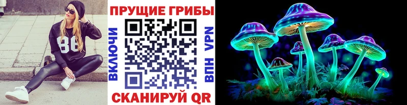 сайты даркнета клад  где купить   Моршанск  Псилоцибиновые грибы мицелий  KRAKEN ONION 