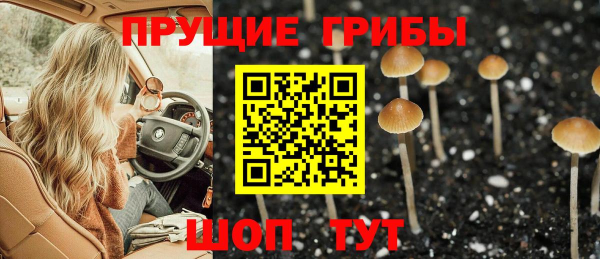 Псилоцибиновые грибы мухоморы Моршанск