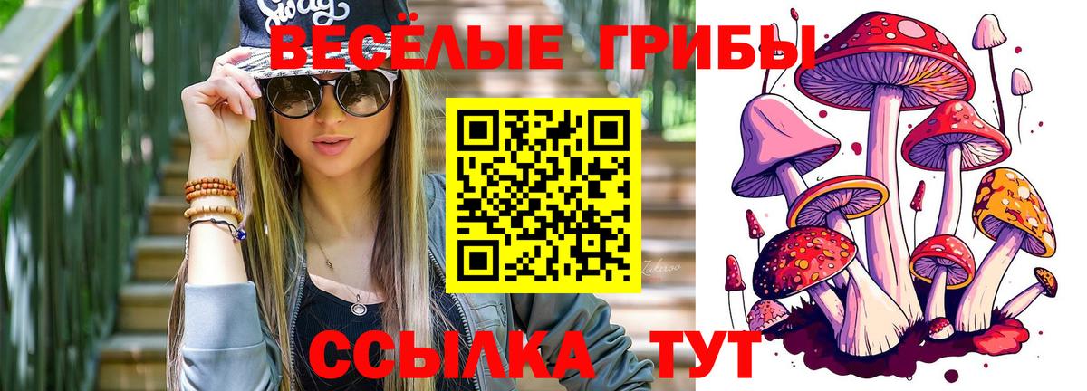 Галлюциногенные грибы прущие грибы  Моршанск  Галлюциногенные грибы GOLDEN TEACHER 