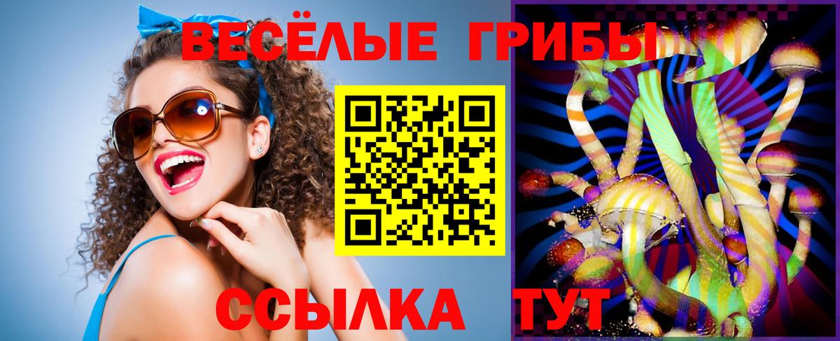 Галлюциногенные грибы Psilocybe Моршанск
